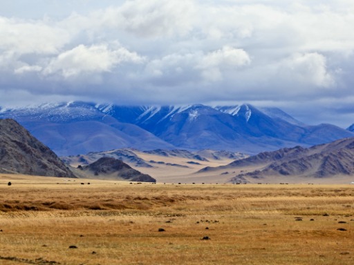 蒙古阿尔泰山